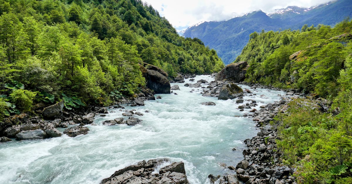 A river flowing through lush green valleys in Coyhaique, Chile