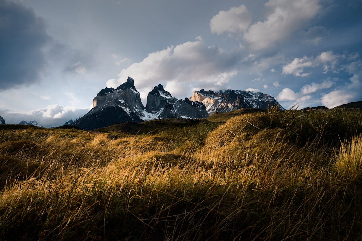 Torres del Paine mountains with golden grass in foreground under dramatic clouds