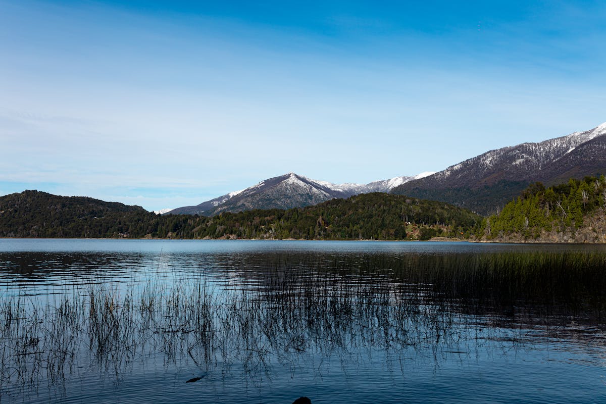 Serene lake with snowy mountains and forest in Patagonia