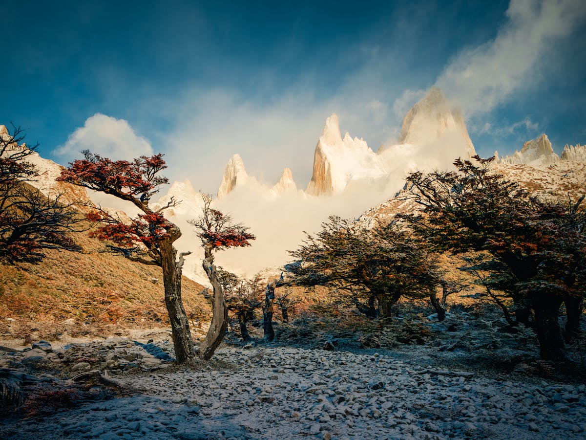 Mount Fitz Roy seen through autumn-colored lenga trees with dramatic sky