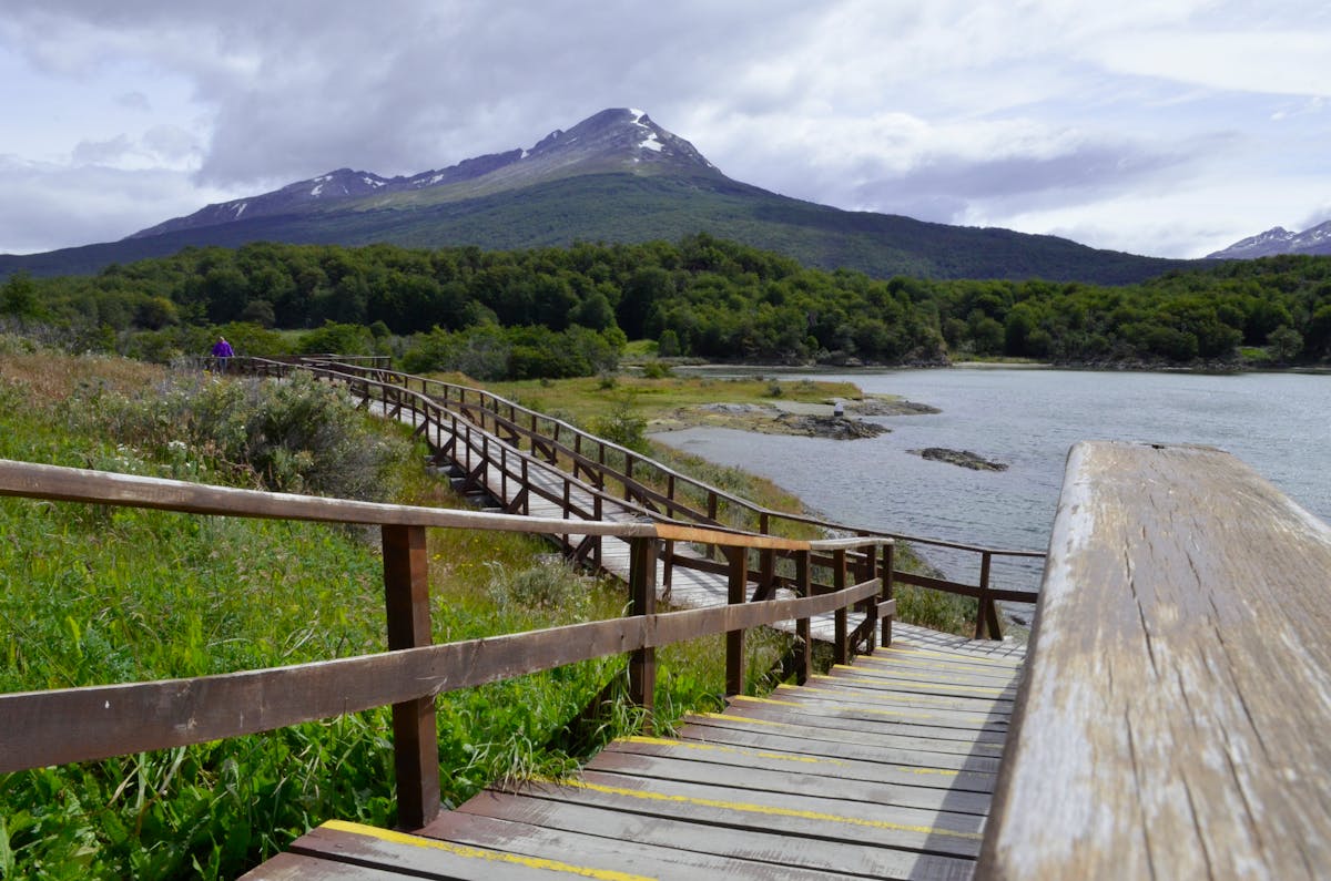 Wooden boardwalk path leading through green fields toward snow-capped mountains in Patagonia