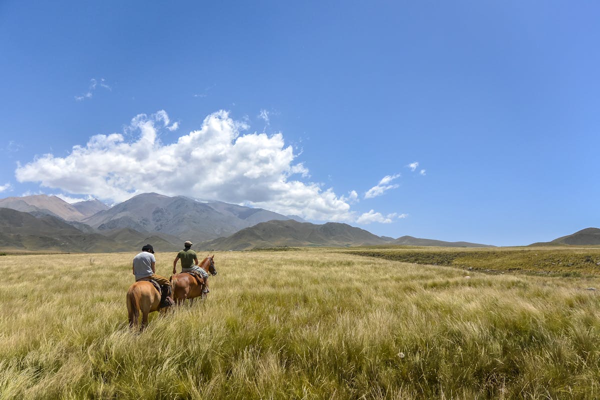 Two people on horseback riding through golden Patagonian grasslands under a wide blue sky