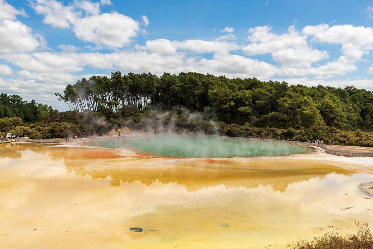 Steaming geothermal pool surrounded by lush green forest