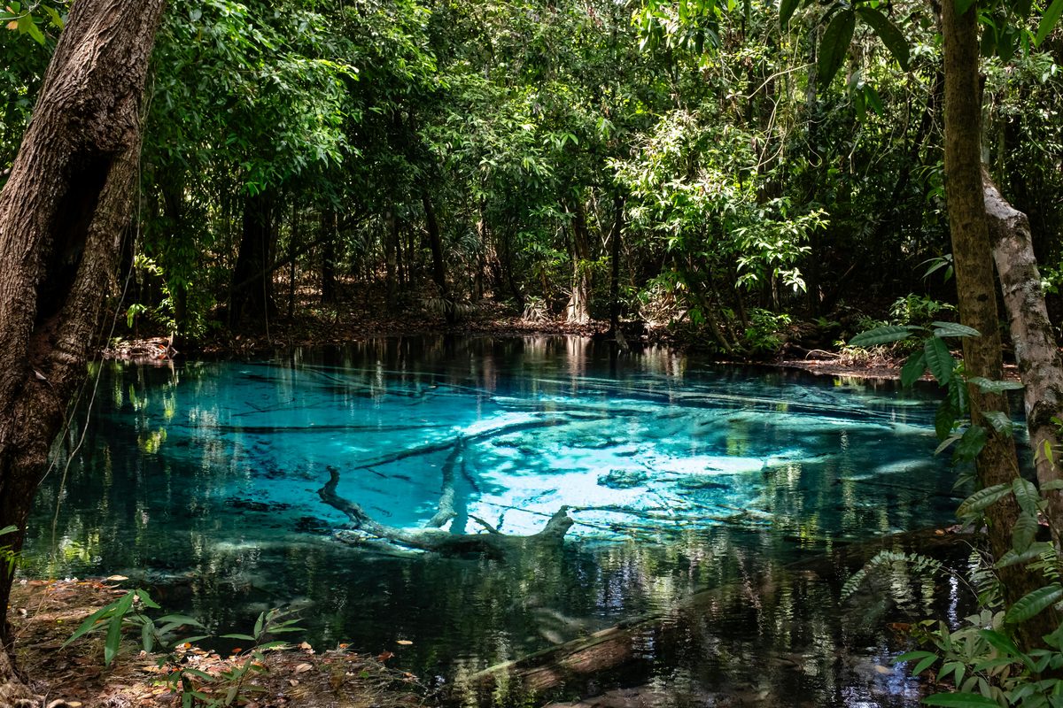 Crystal-clear blue pool surrounded by lush green tropical forest