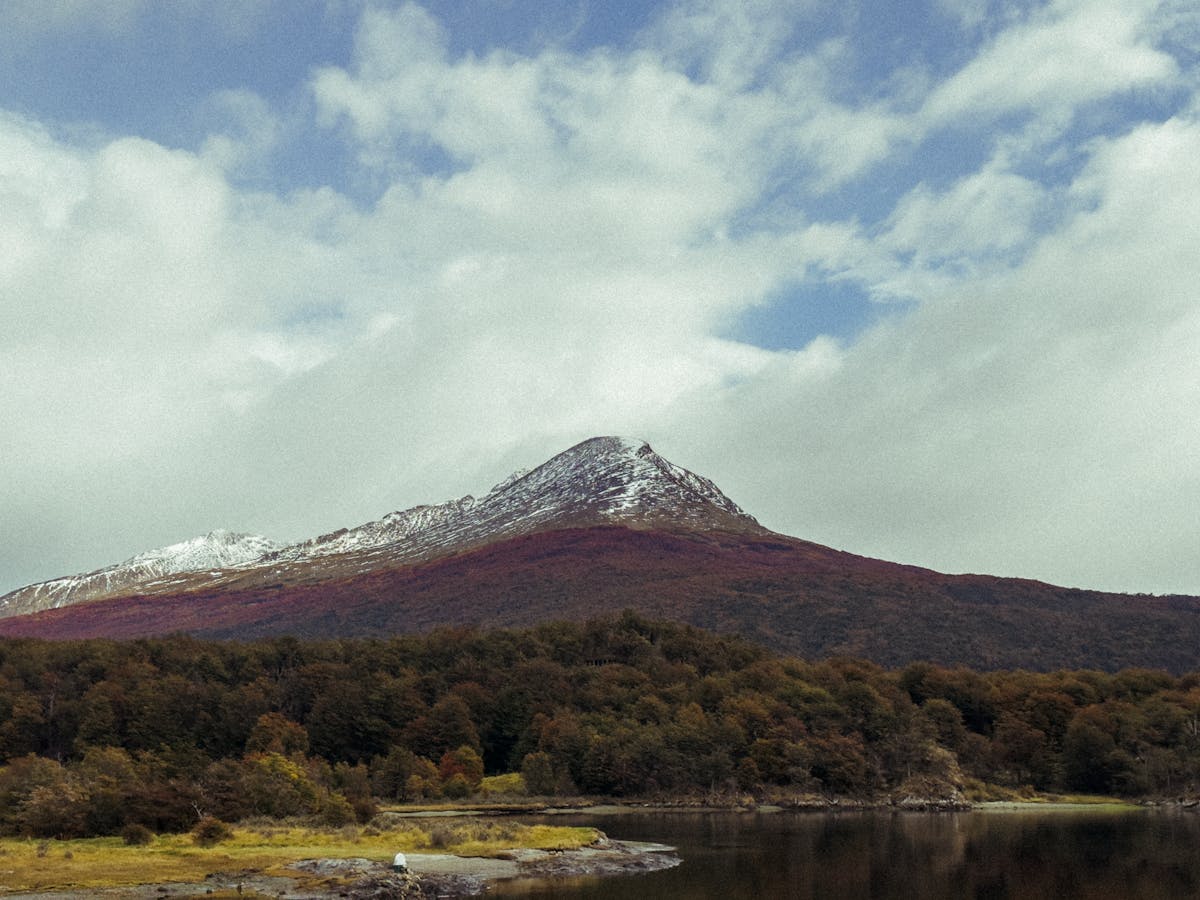 Snow-capped mountain surrounded by forest in Tierra del Fuego
