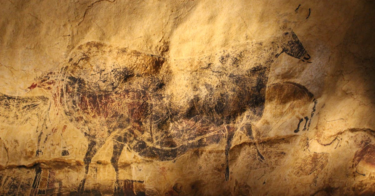 Large natural cave entrance surrounded by rock formations and vegetation