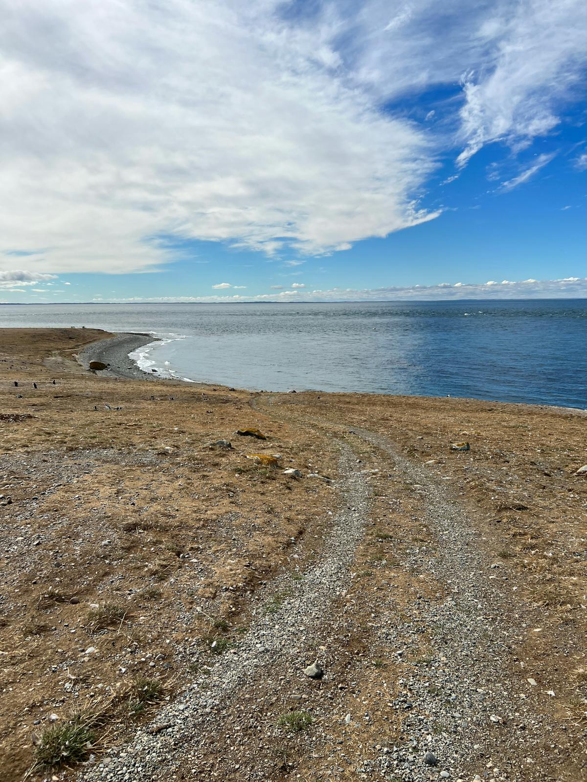 Coastline path along the Strait of Magellan in Punta Arenas, Chile with calm waters and open sky