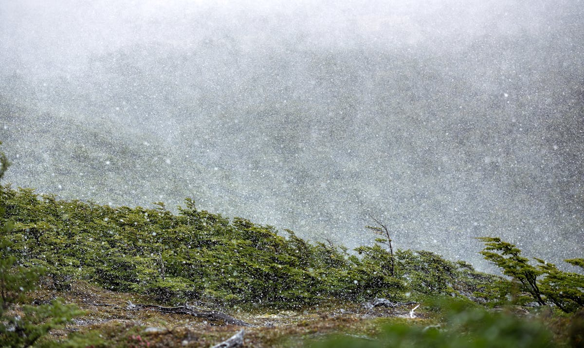 Snowy scene in Torres del Paine showcasing wild natural beauty
