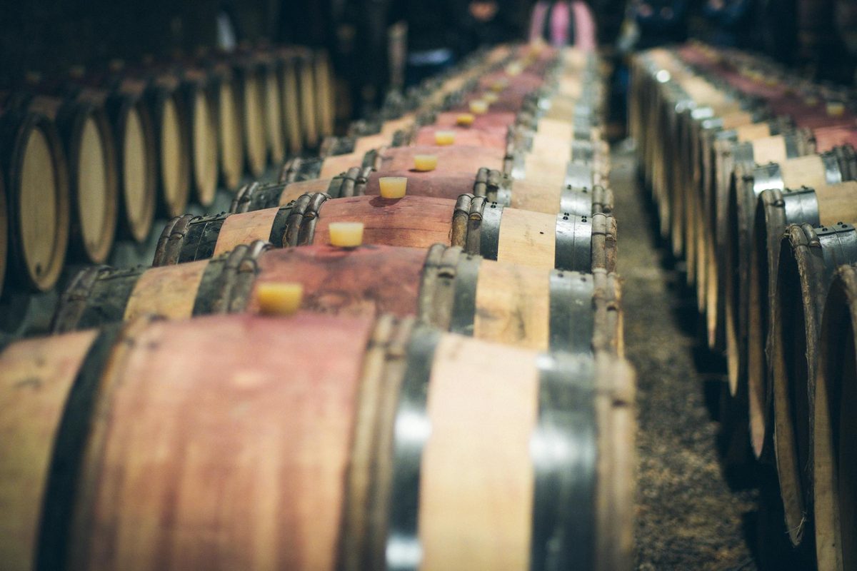 Rows of wooden wine barrels aging in a dimly lit stone cellar
